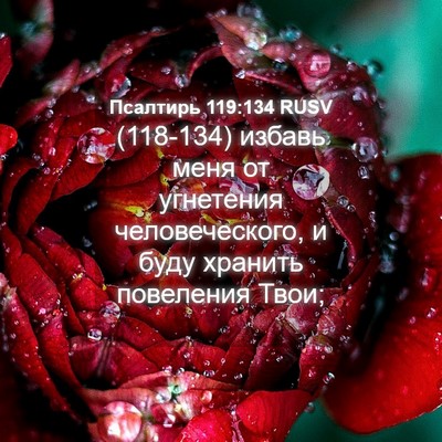 Picture 04 - Псалтирь 119:134 RUSV - (118-134) избавь меня от - Bible Verse Picture