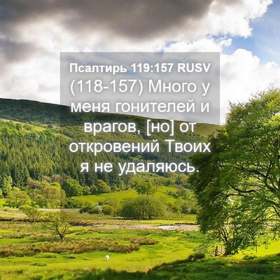 Picture 04 - Псалтирь 119:157 RUSV - (118-157) Много у меня - Bible Verse Picture