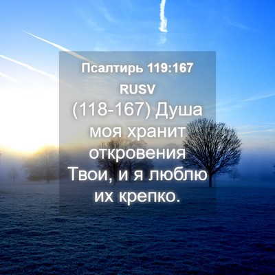 Picture 04 - Псалтирь 119:167 RUSV - (118-167) Душа моя хранит - Bible Verse Picture