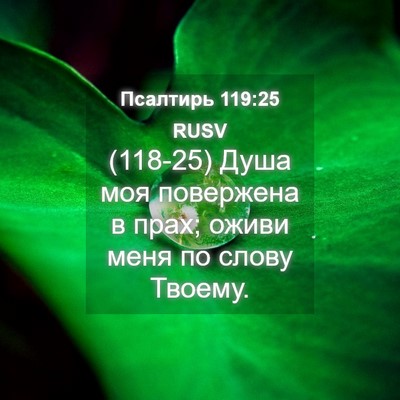 Picture 04 - Псалтирь 119:25 RUSV - (118-25) Душа моя повержена в - Bible Verse Picture