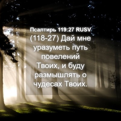 Picture 04 - Псалтирь 119:27 RUSV - (118-27) Дай мне уразуметь - Bible Verse Picture
