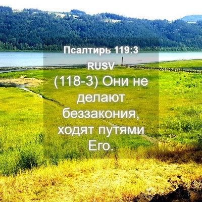 Picture 04 - Псалтирь 119:3 RUSV - (118-3) Они не делают - Bible Verse Picture