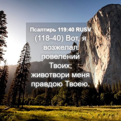 Picture 04 - Псалтирь 119:40 RUSV - (118-40) Вот, я возжелал - Bible Verse Picture