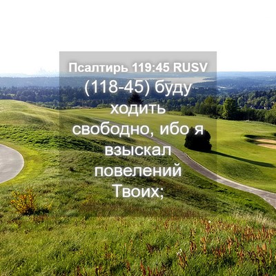 Picture 04 - Псалтирь 119:45 RUSV - (118-45) буду ходить свободно, - Bible Verse Picture