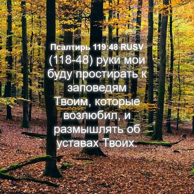 Picture 04 - Псалтирь 119:48 RUSV - (118-48) руки мои буду - Bible Verse Picture