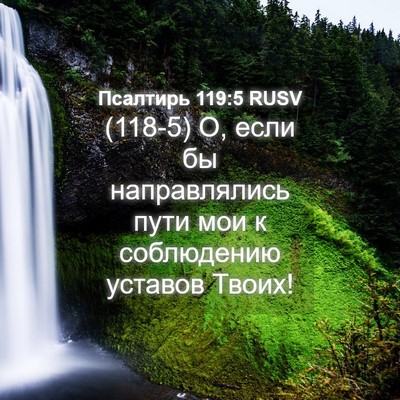 Picture 04 - Псалтирь 119:5 RUSV - (118-5) О, если бы - Bible Verse Picture
