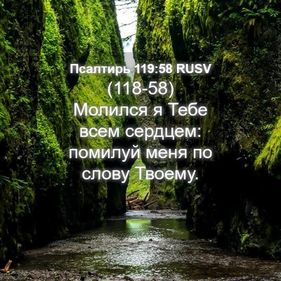 Picture 04 - Псалтирь 119:58 RUSV - (118-58) Молился я Тебе всем - Bible Verse Picture