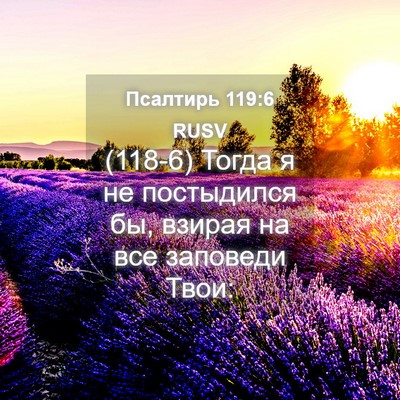 Picture 04 - Псалтирь 119:6 RUSV - (118-6) Тогда я не постыдился - Bible Verse Picture