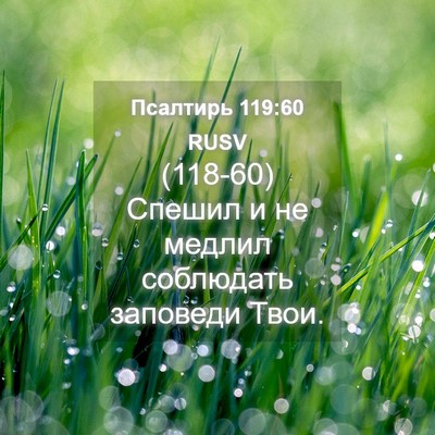 Picture 04 - Псалтирь 119:60 RUSV - (118-60) Спешил и не медлил - Bible Verse Picture