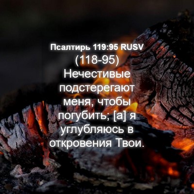 Picture 04 - Псалтирь 119:95 RUSV - (118-95) Нечестивые - Bible Verse Picture