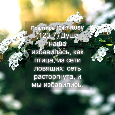 Picture 04 - Псалтирь 124:7 RUSV - (123-7) Душа наша избавилась, - Bible Verse Picture