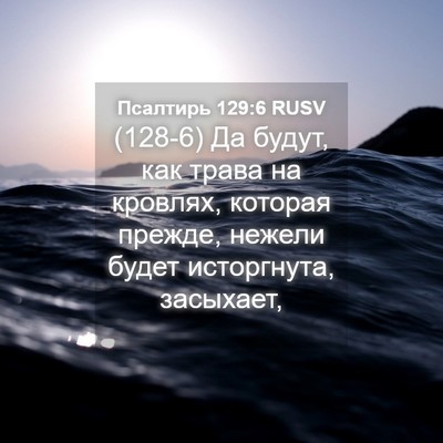 Picture 04 - Псалтирь 129:6 RUSV - (128-6) Да будут, как трава на - Bible Verse Picture