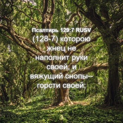 Picture 04 - Псалтирь 129:7 RUSV - (128-7) которою жнец не - Bible Verse Picture