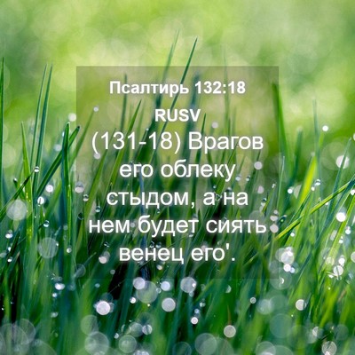 Picture 04 - Псалтирь 132:18 RUSV - (131-18) Врагов его облеку - Bible Verse Picture