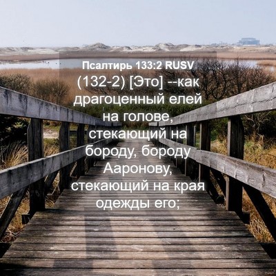 Picture 04 - Псалтирь 133:2 RUSV - (132-2) [Это] --как драгоценный - Bible Verse Picture