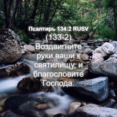 Picture 04 - Псалтирь 134:2 RUSV - (133-2) Воздвигните руки ваши - Bible Verse Picture