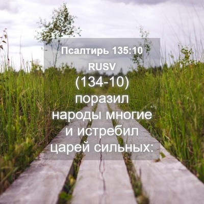 Picture 04 - Псалтирь 135:10 RUSV - (134-10) поразил народы многие - Bible Verse Picture
