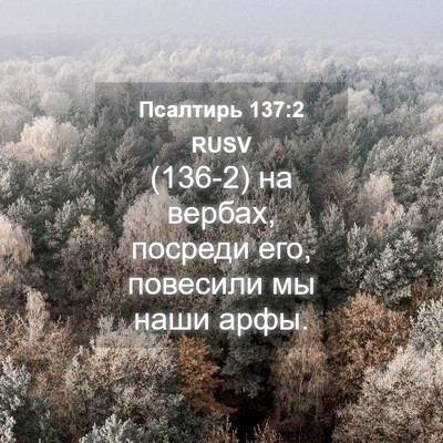 Picture 04 - Псалтирь 137:2 RUSV - (136-2) на вербах, посреди его, - Bible Verse Picture