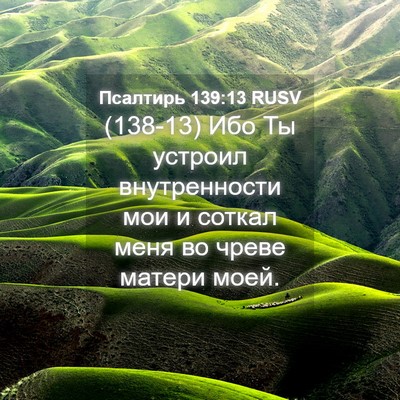 Picture 04 - Псалтирь 139:13 RUSV - (138-13) Ибо Ты устроил - Bible Verse Picture