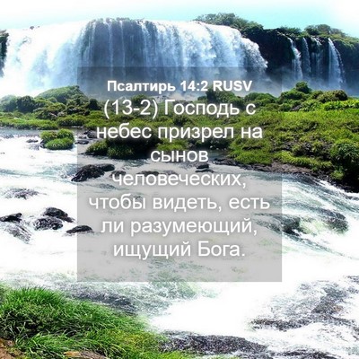 Picture 04 - Псалтирь 14:2 RUSV - (13-2) Господь с небес - Bible Verse Picture