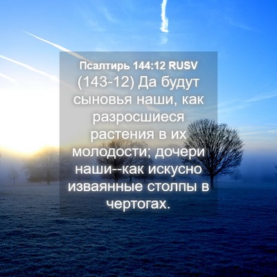 Picture 04 - Псалтирь 144:12 RUSV - (143-12) Да будут сыновья наши, - Bible Verse Picture