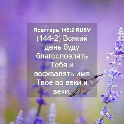 Picture 04 - Псалтирь 145:2 RUSV - (144-2) Всякий день буду - Bible Verse Picture