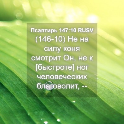 Picture 04 - Псалтирь 147:10 RUSV - (146-10) Не на силу коня - Bible Verse Picture