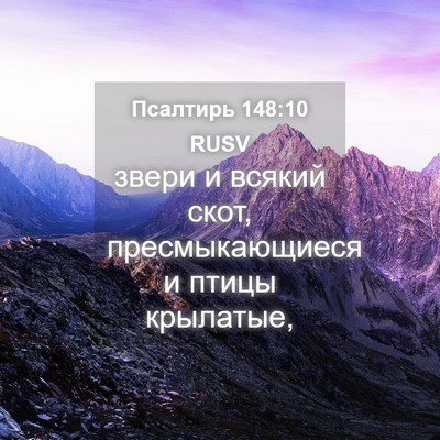 Picture 04 - Псалтирь 148:10 RUSV - звери и всякий скот, - Bible Verse Picture