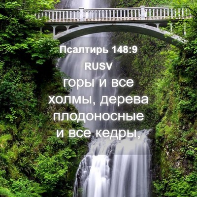Picture 04 - Псалтирь 148:9 RUSV - горы и все холмы, дерева - Bible Verse Picture