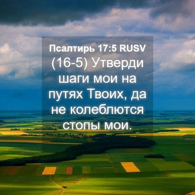 Picture 04 - Псалтирь 17:5 RUSV - (16-5) Утверди шаги мои на - Bible Verse Picture