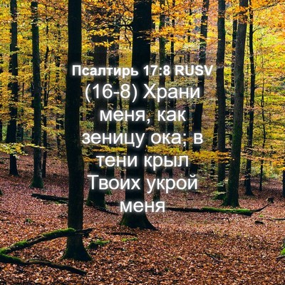Picture 04 - Псалтирь 17:8 RUSV - (16-8) Храни меня, как зеницу - Bible Verse Picture