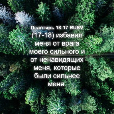 Picture 04 - Псалтирь 18:17 RUSV - (17-18) избавил меня от врага - Bible Verse Picture