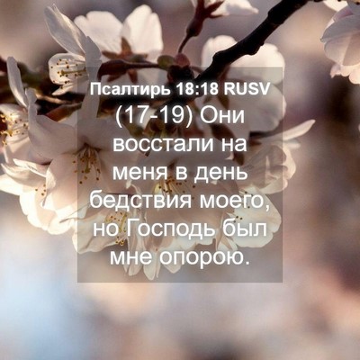 Picture 04 - Псалтирь 18:18 RUSV - (17-19) Они восстали на меня в - Bible Verse Picture