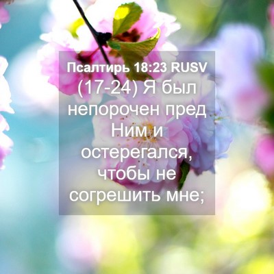 Picture 04 - Псалтирь 18:23 RUSV - (17-24) Я был непорочен пред - Bible Verse Picture