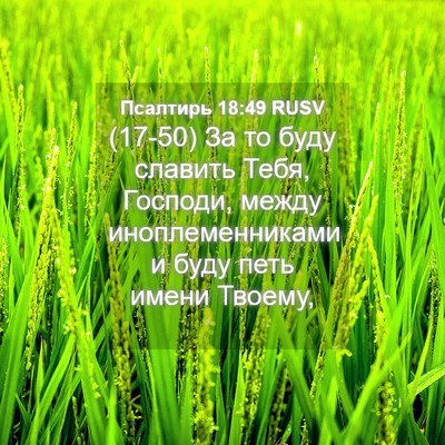 Picture 04 - Псалтирь 18:49 RUSV - (17-50) За то буду славить - Bible Verse Picture