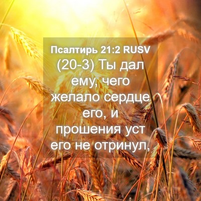 Picture 04 - Псалтирь 21:2 RUSV - (20-3) Ты дал ему, чего желало - Bible Verse Picture