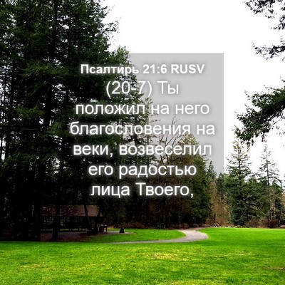 Picture 04 - Псалтирь 21:6 RUSV - (20-7) Ты положил на него - Bible Verse Picture
