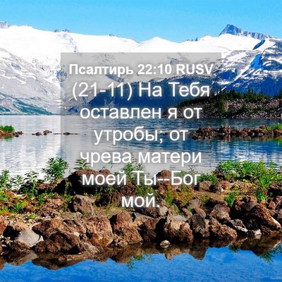 Picture 04 - Псалтирь 22:10 RUSV - (21-11) На Тебя оставлен я от - Bible Verse Picture