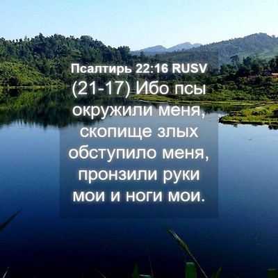 Picture 04 - Псалтирь 22:16 RUSV - (21-17) Ибо псы окружили меня, - Bible Verse Picture