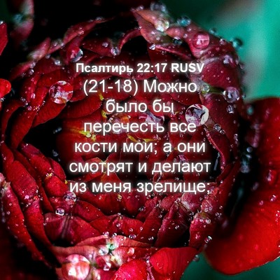 Picture 04 - Псалтирь 22:17 RUSV - (21-18) Можно было бы - Bible Verse Picture