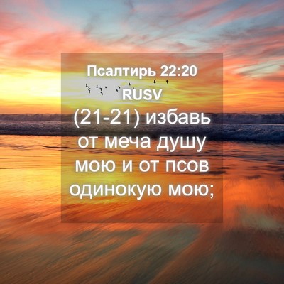 Picture 04 - Псалтирь 22:20 RUSV - (21-21) избавь от меча душу - Bible Verse Picture
