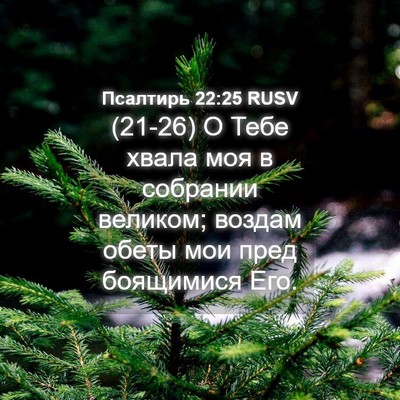 Picture 04 - Псалтирь 22:25 RUSV - (21-26) О Тебе хвала моя в - Bible Verse Picture