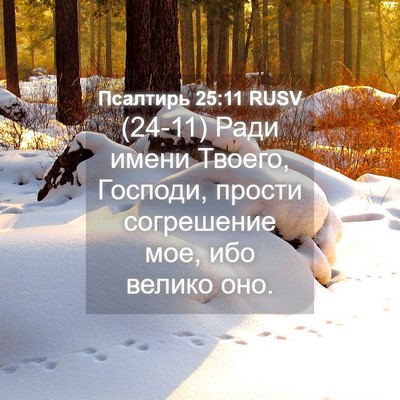 Picture 04 - Псалтирь 25:11 RUSV - (24-11) Ради имени Твоего, - Bible Verse Picture