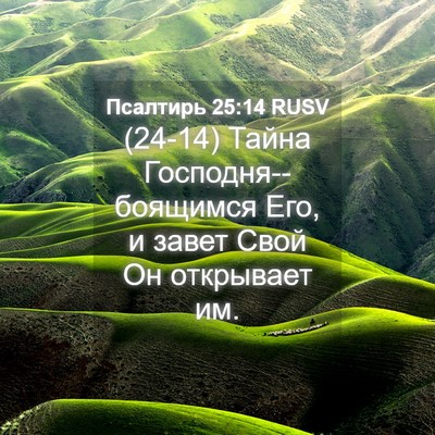 Picture 04 - Псалтирь 25:14 RUSV - (24-14) Тайна - Bible Verse Picture