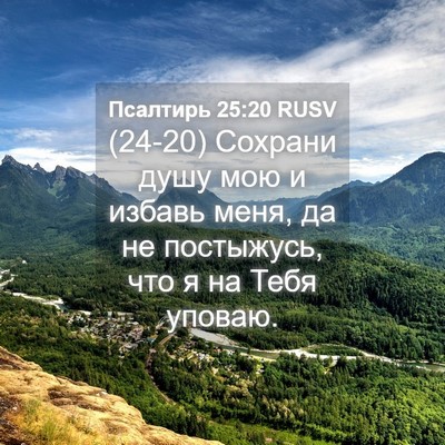 Picture 04 - Псалтирь 25:20 RUSV - (24-20) Сохрани душу мою и - Bible Verse Picture