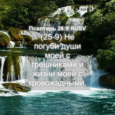 Picture 04 - Псалтирь 26:9 RUSV - (25-9) Не погуби души моей с - Bible Verse Picture