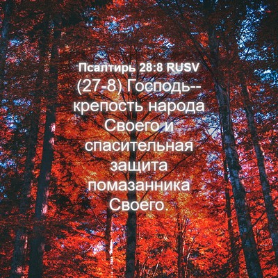 Picture 04 - Псалтирь 28:8 RUSV - (27-8) Господь--крепость - Bible Verse Picture
