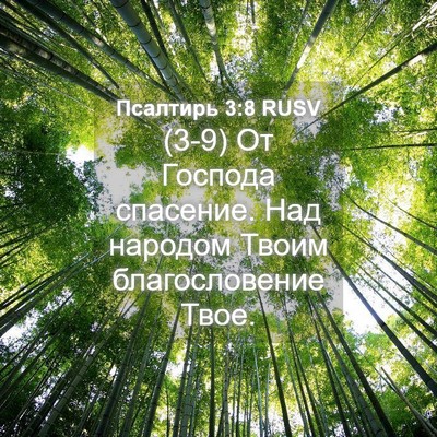 Picture 04 - Псалтирь 3:8 RUSV - (3-9) От Господа спасение. - Bible Verse Picture