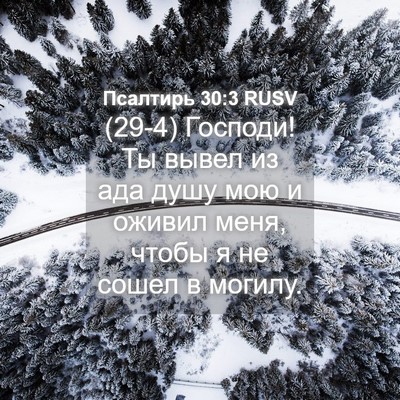 Picture 04 - Псалтирь 30:3 RUSV - (29-4) Господи! Ты вывел из - Bible Verse Picture