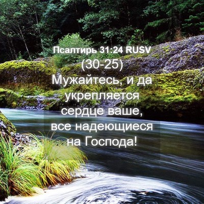 Picture 04 - Псалтирь 31:24 RUSV - (30-25) Мужайтесь, и да - Bible Verse Picture
